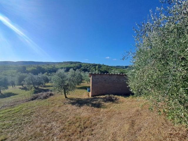 Terreno in vendita a Bucine, Toscana