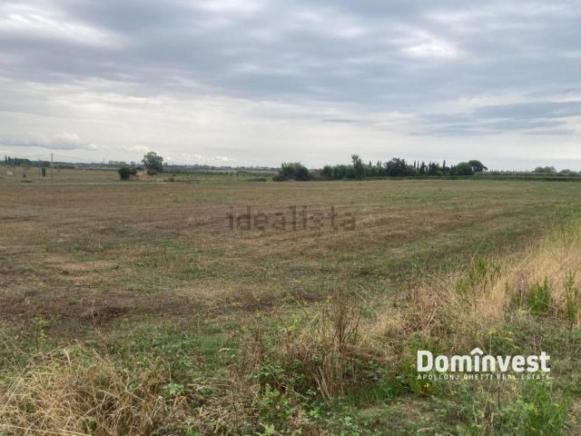 Terreno in vendita a Borgo Carige, Capalbio