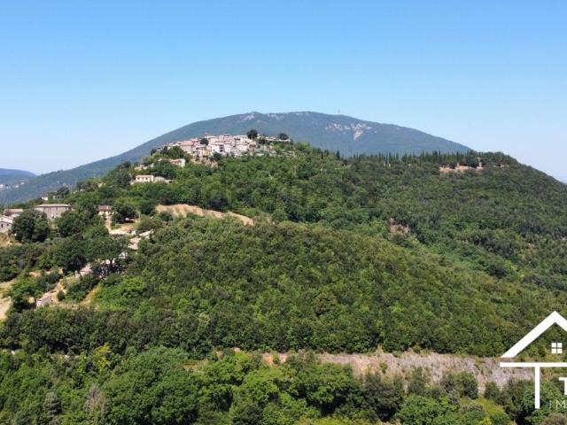 Terreno in vendita a Montasola, Lazio