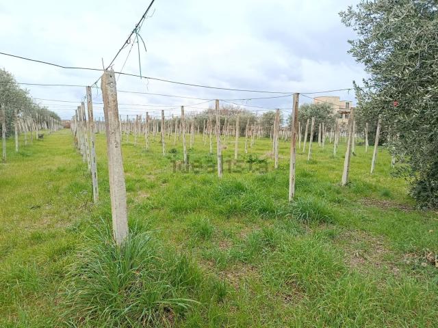 Terreno in vendita a Arielli, Chieti