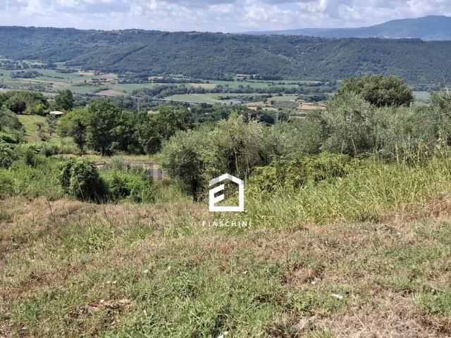 Terreno in vendita a Giove, Umbria