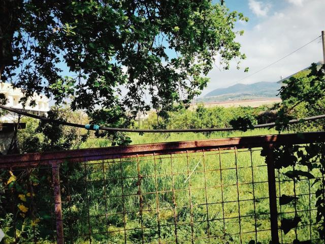 Terreno in vendita a Monticello, Calabria