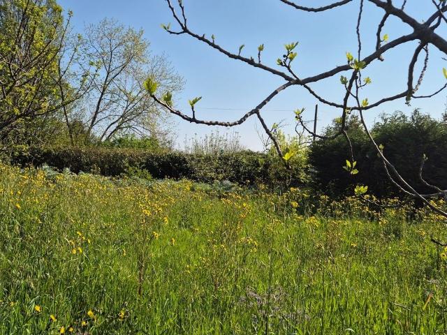 Terreno in vendita a Villaggio 1° maggio, Rimini
