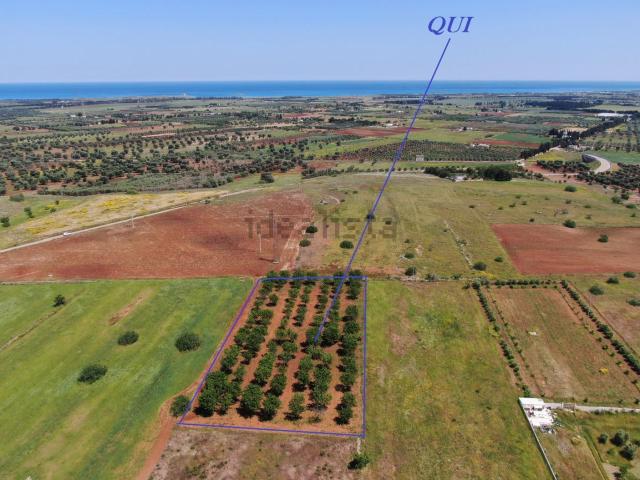 Terreno in vendita a Puglia, Brindisi