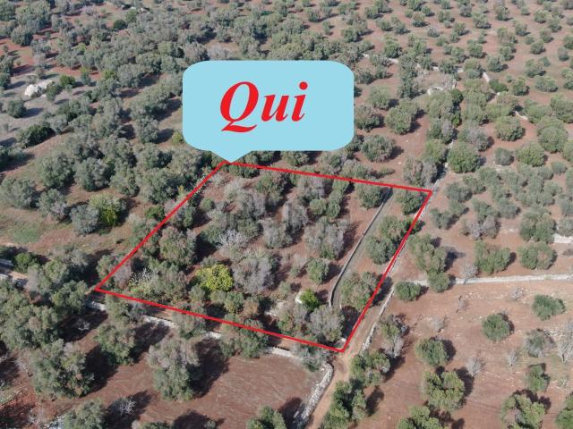Terreno in vendita a Puglia, Brindisi