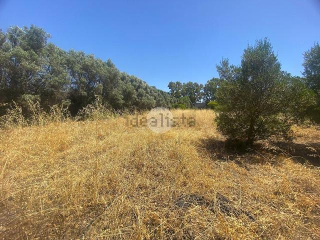 Terreno in vendita a Iglesias, Sardigna/Sardegna