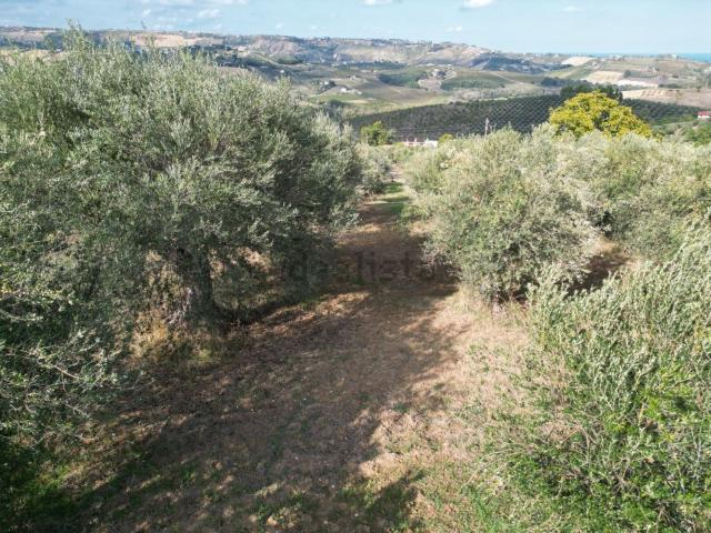 Terreno in vendita a Villa Cipressi, Città Sant'angelo