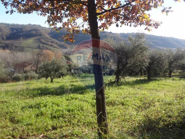 Terreno in vendita a Miglianico Di Chieti, Abruzzo