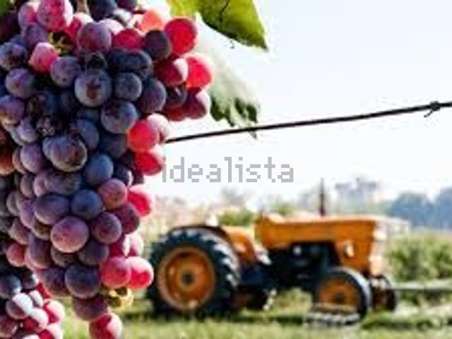 Terreno in vendita a Teolo, Padova