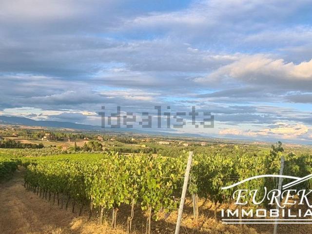 Terreno in vendita a Abbadia Di Montepulciano, Toscana