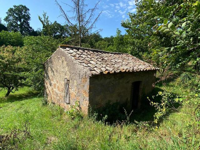 Terreno in vendita a Viterbo, Lazio