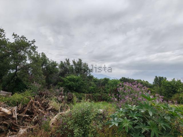 Terreno in vendita a Belfiore, Valverde