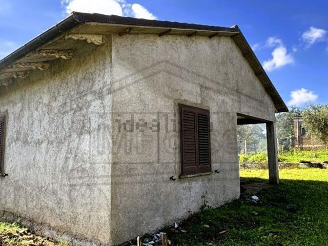Terreno in vendita a Cevoli, Montefiascone