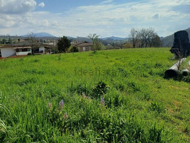 Terreno in vendita a Paliano, Lazio