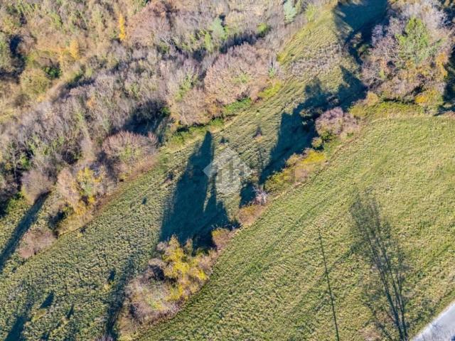 Terreno in vendita a Sant'anna D'alfaedo, Veneto