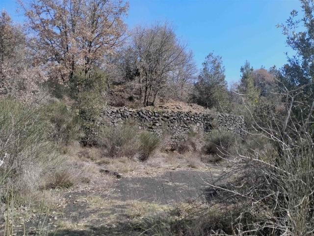 Terreno in vendita a Nicolosi, Sicilia