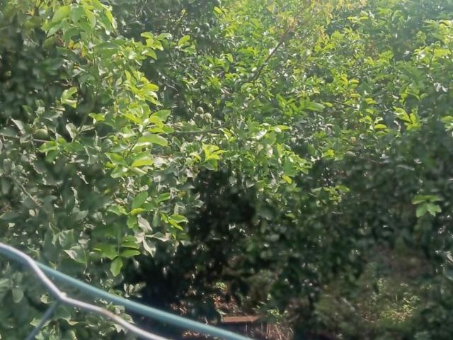 Terreno in vendita a Riposto, Sicilia