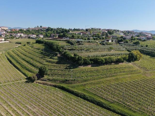 Terreno in vendita a Monte, Colognola Ai Colli