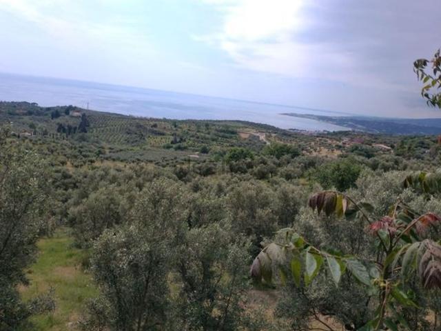 Terreno in vendita a Calabria, Catanzaro