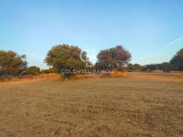 Terreno in vendita a Marina di Modica, Modica