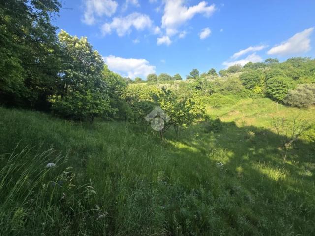 Terreno in vendita a Fumane, Veneto