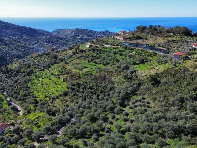 Terreno in vendita a Vallebona, Liguria