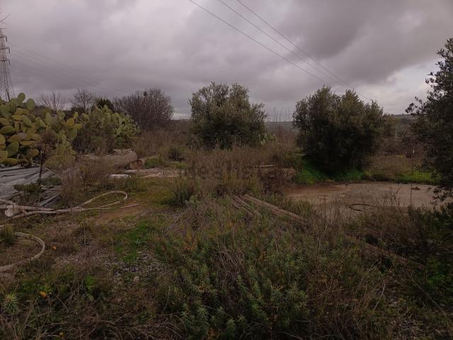 Terreno in vendita a Ragusa, Sicilia