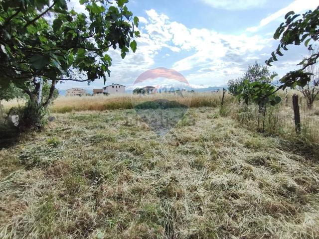Terreno in vendita a San Marco Argentano, Cosenza