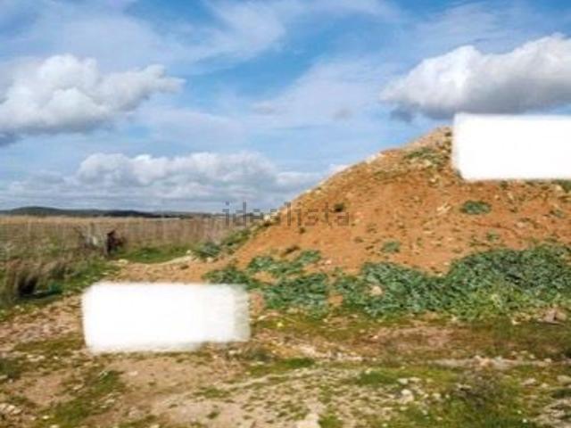 Terreno in vendita a Paulilatino, Sardigna/Sardegna