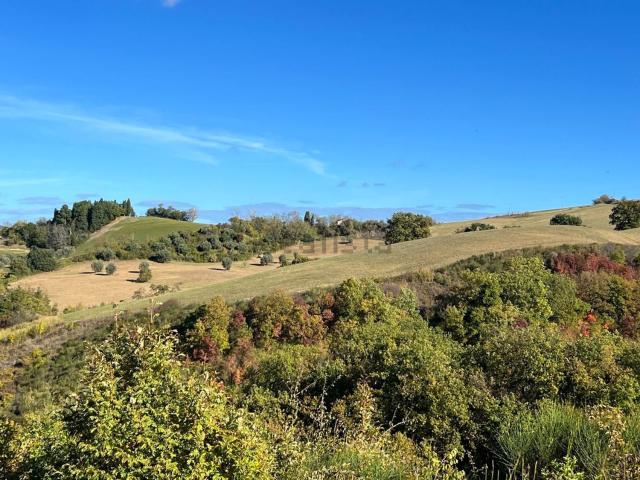 Terreno in vendita a Colli al Metauro, Marche