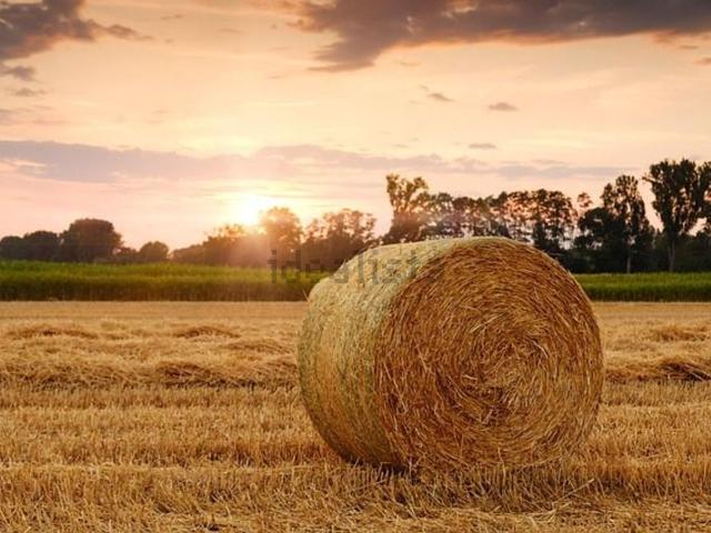 Terreno in vendita a Postioma, Paese