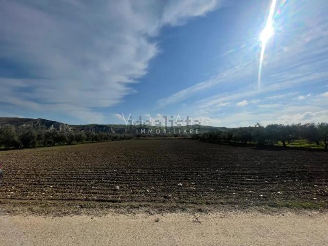 Terreno in vendita a Piane Sant'Angelo, San Salvo