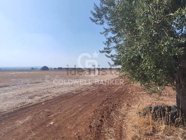 Terreno in vendita a Taranto