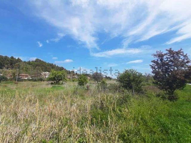 Terreno in vendita a Monticelli, Marche