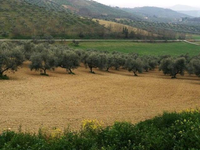 Terreno in vendita a Pianella, Abruzzo