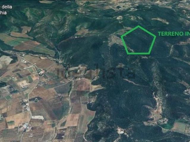 Terreno in vendita a Puglia, Foggia
