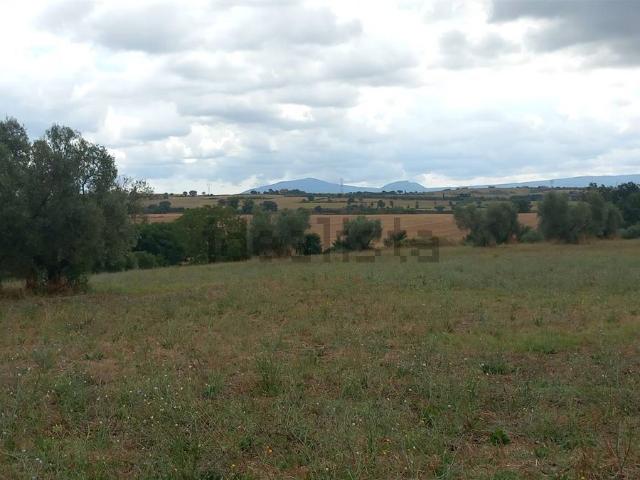 Terreno in vendita a Viterbo, Lazio
