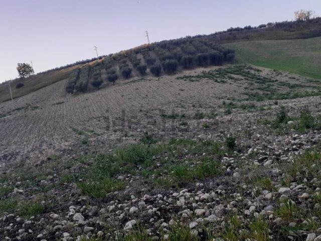 Terreno in vendita a Larino, Molise