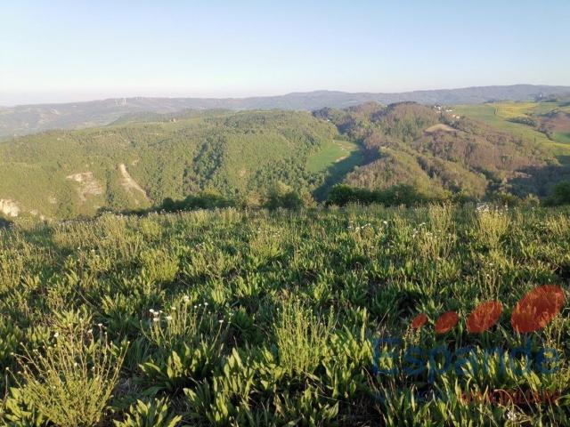 Terreno in vendita a Unione dei comuni Savena-Idice, Loiano