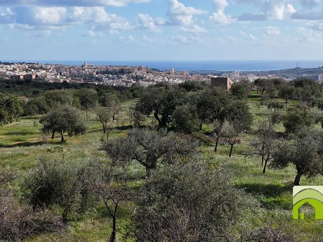 Terreno in vendita a Noto, Sicilia