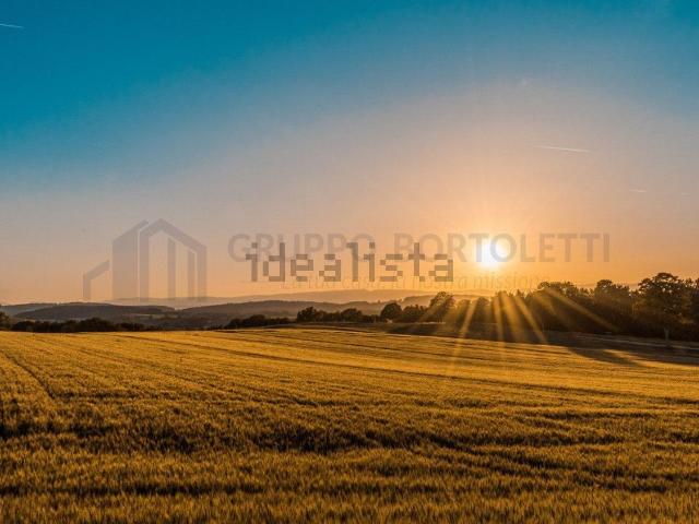 Terreno in vendita a Chioggia, Veneto