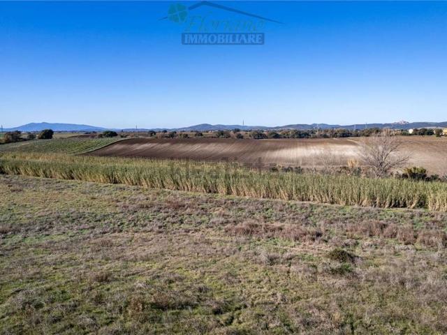 Terreno in vendita a Montalto Di Castro, Lazio