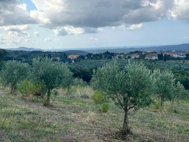 Terreno in vendita a Massa Marittima, Toscana