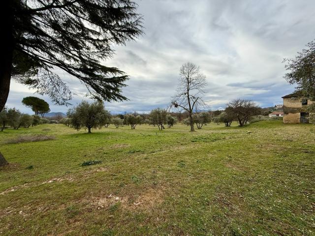 Terreno in vendita a Monte San Giovanni Campano, Lazio