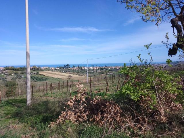 Terreno in vendita a Colledoro, Giulianova