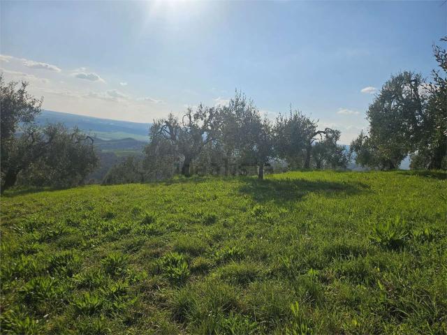 Terreno in vendita a Lugnano In Teverina, Umbria