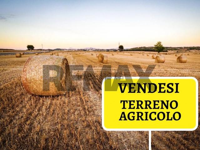 Terreno in vendita a Segezia, Foggia