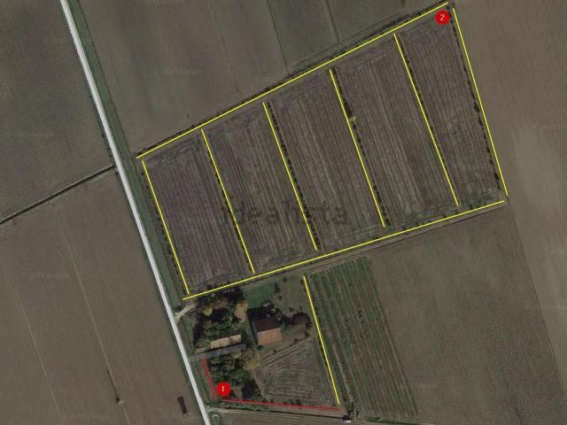 Terreno in vendita a Stienta, Veneto