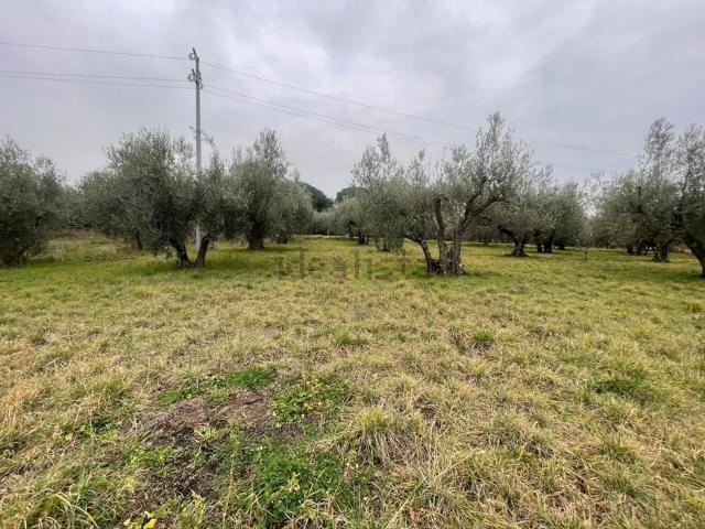 Terreno in vendita a Borgo Le Carcarelle, Viterbo
