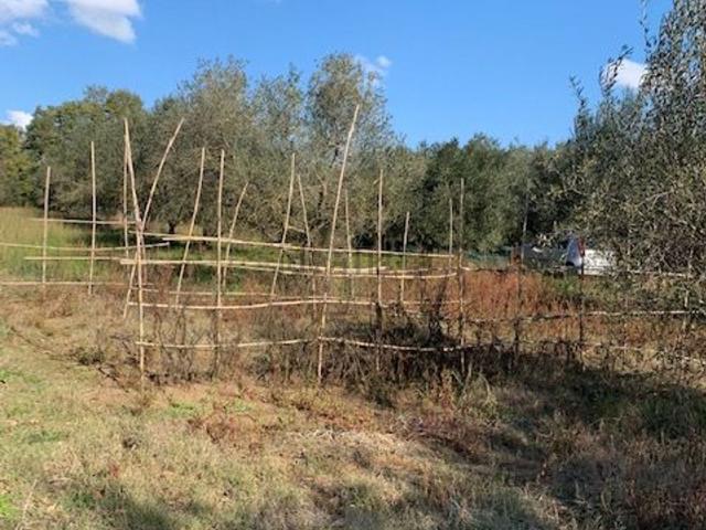 Terreno in vendita a Montefiascone, Lazio